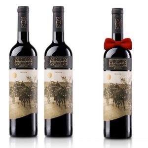 Vinho Reserva Tinto Adega Maior2017 em Garrafa 750ml [PROMOÇÃO Pague 2, Leva 3]